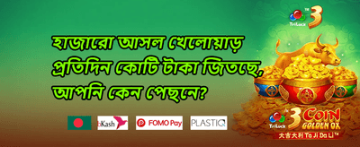 মেগা স্লট ফ্রি স্পিন promotion banner